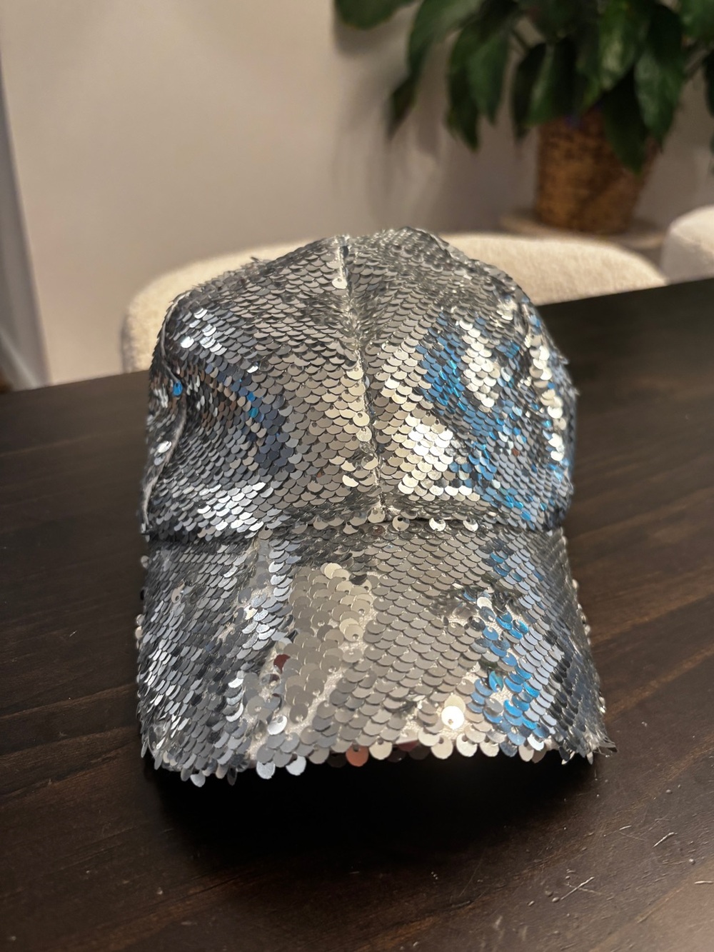 Aerie Silver Sequin Baseball Cap